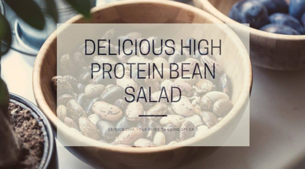 Delicious High Protein Bean Salad Grid Sub